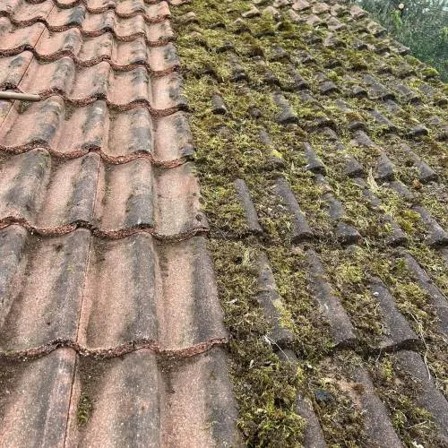 Moss-covered concrete roof tiles in need of a roof repair